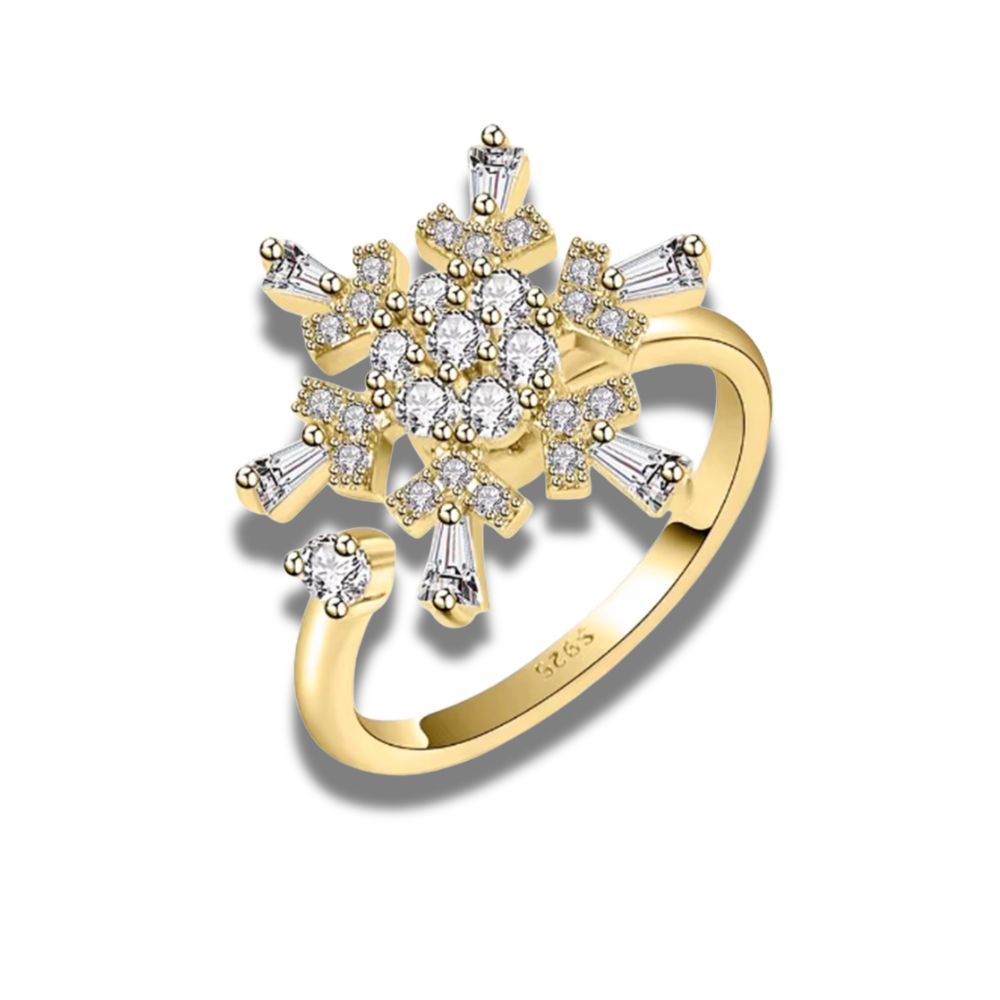 Zodiac Spin 925 Silver Ring